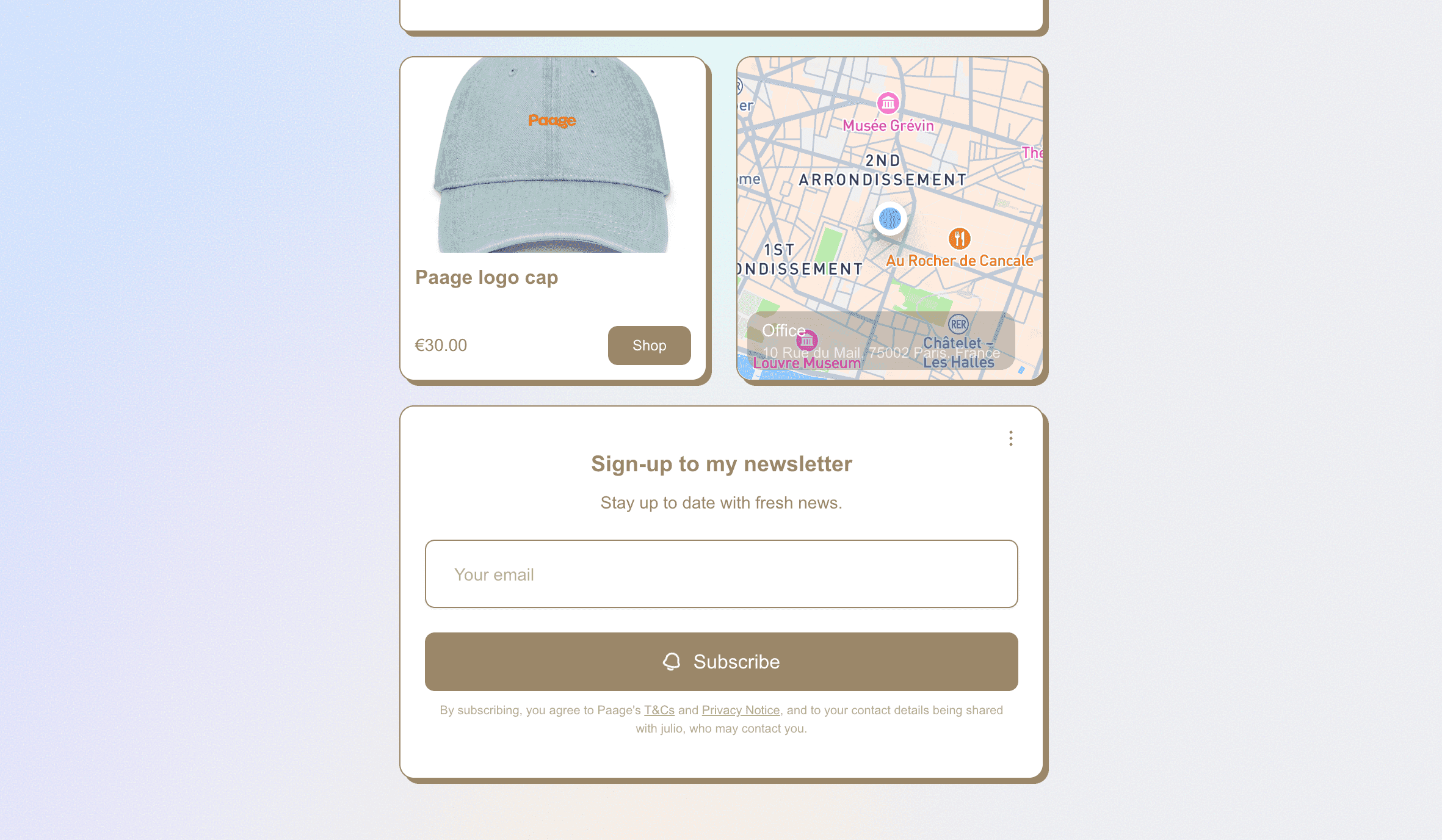 Paage email audience management screen showing subscriber list and email campaigns